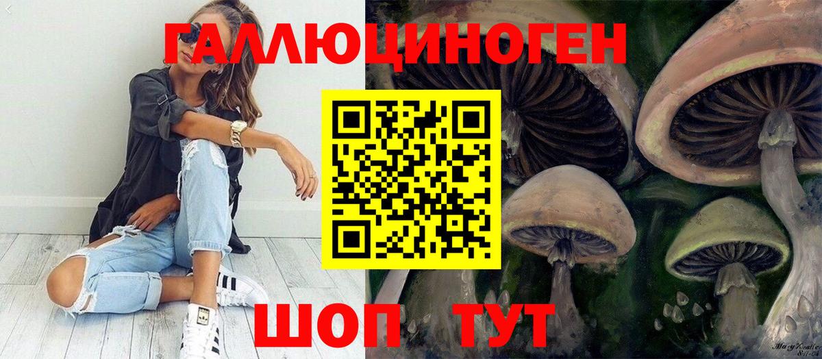 Волоколамск  продажа наркотиков  Вход с VPN  Псилоцибиновые грибы Magic Shrooms  Галлюциногенные грибы мухоморы 