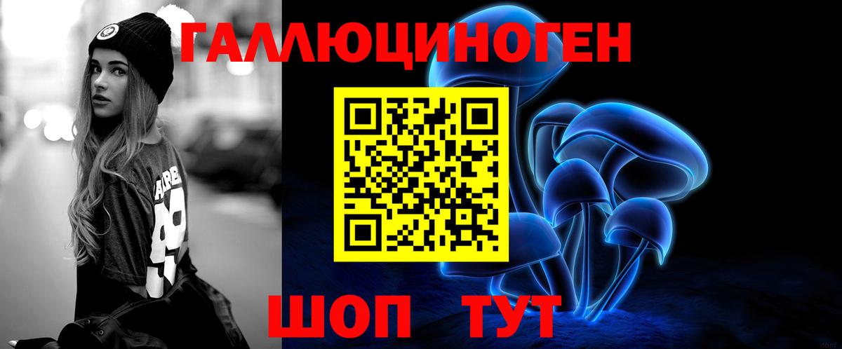 Псилоцибиновые грибы Psilocybe Волоколамск